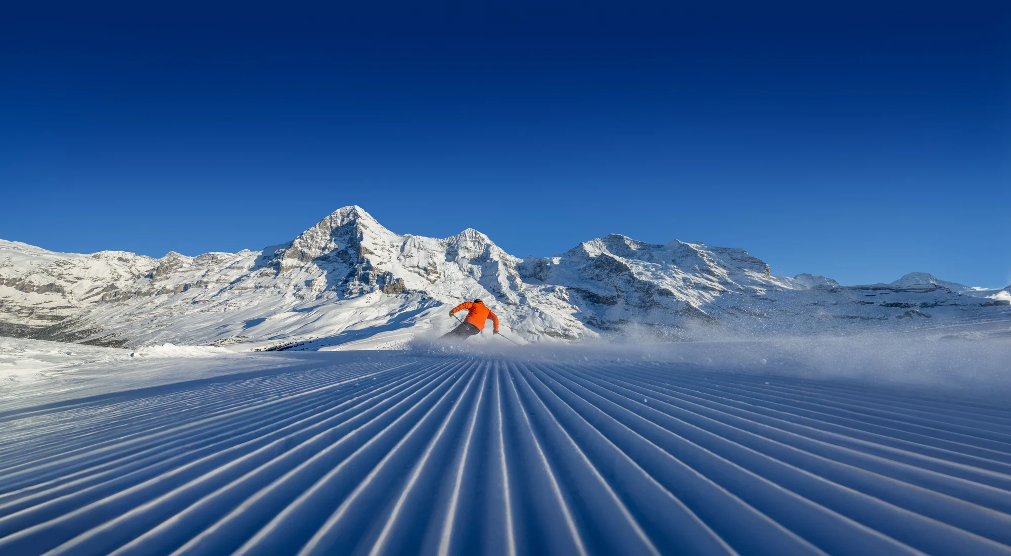 Skier carving fresh corduroy piste under the Eiger and Mönch on a bluebird day in the Jungfrau ski region