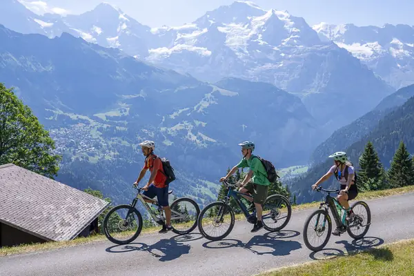 Tour guiado en bici