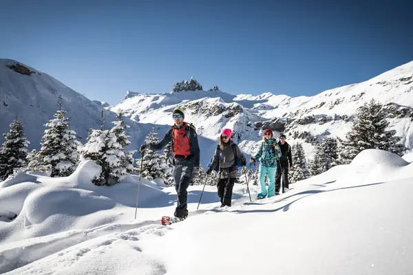 Raquetas de nieve