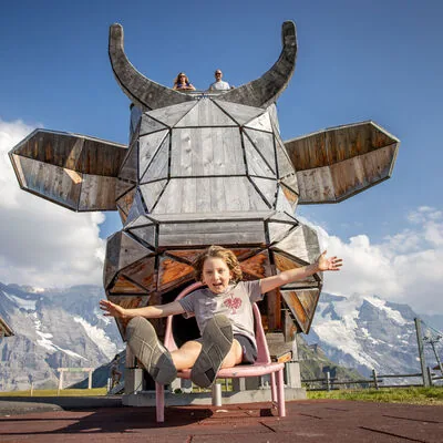 Männlichen Cow Playground