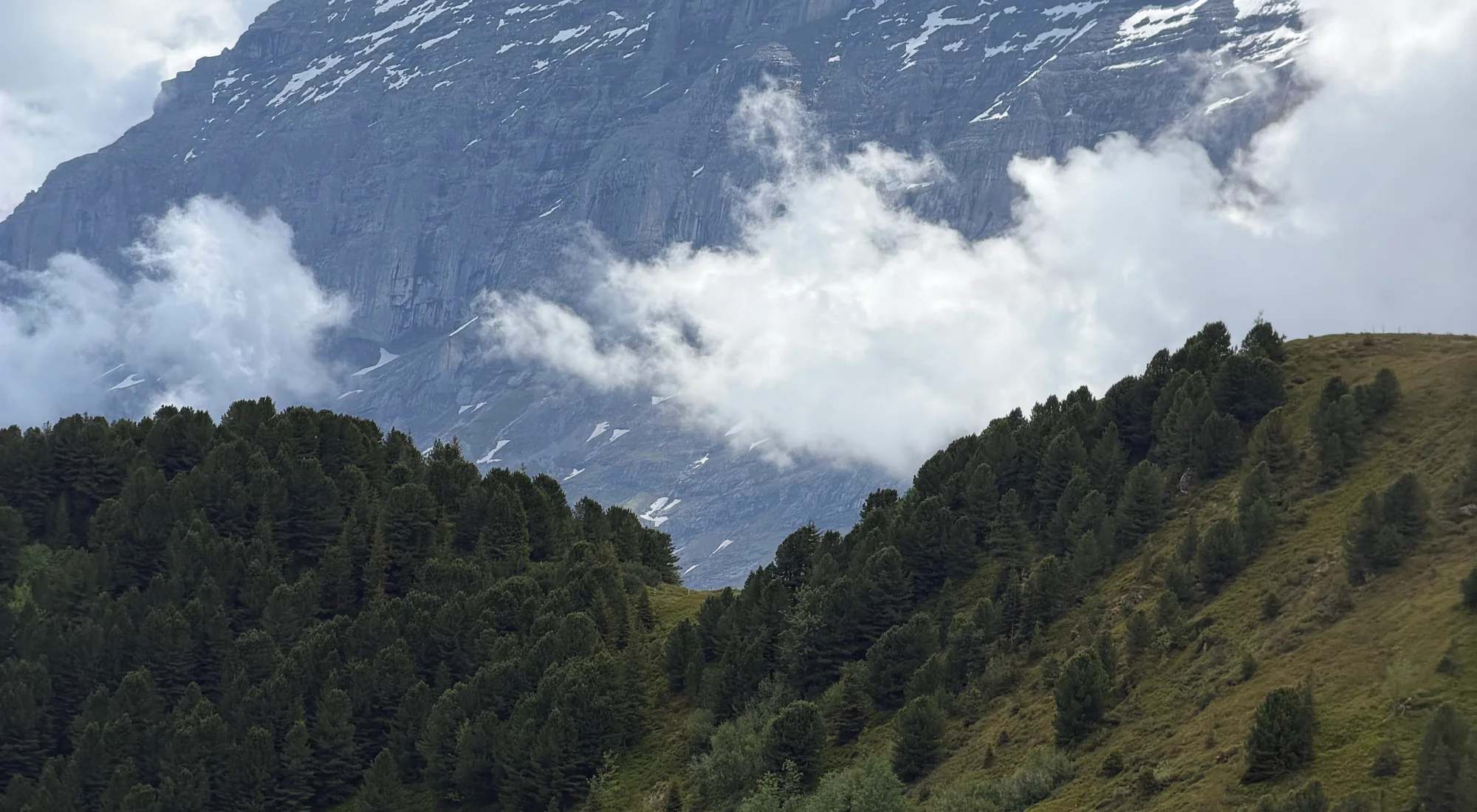 The Eiger wreathed in cloud above a forested ridge and alpine flower meadow in late summer, Lauterbrunnen